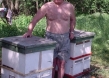 Pjotr Kudin mit seinen Bienenstöcken