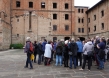 risiera6