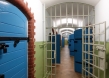 roter_ochse4